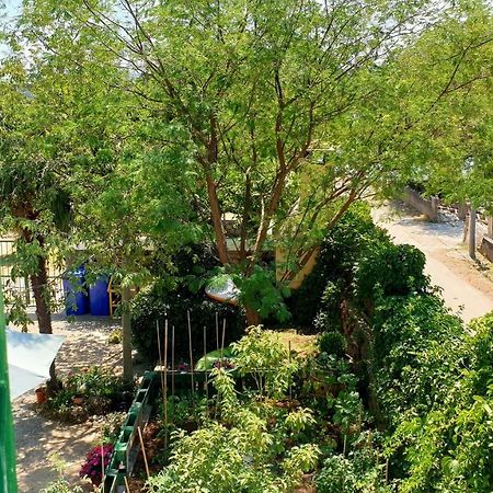 Apartmani Paron Sime Seline Buitenkant foto