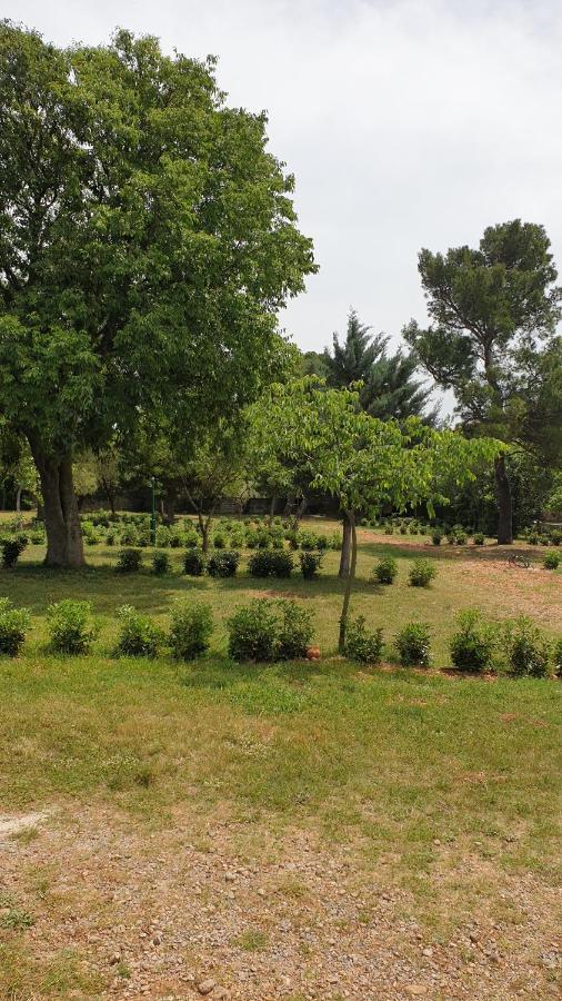 Apartmani Paron Sime Seline Buitenkant foto