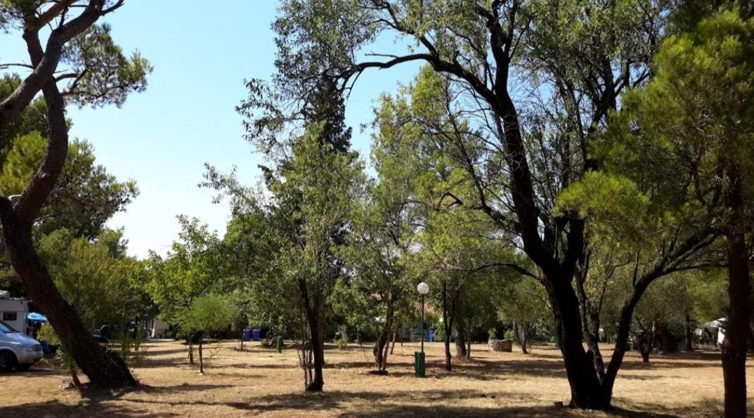 Apartmani Paron Sime Seline Buitenkant foto