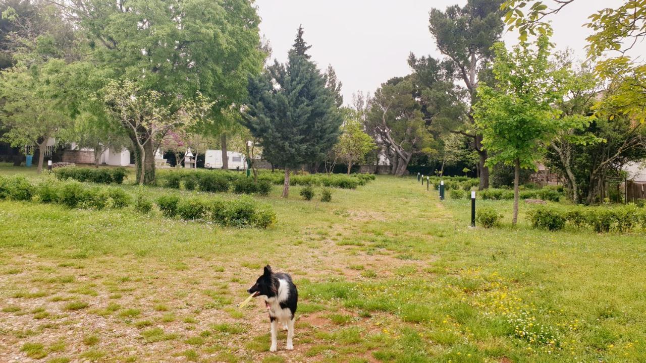 Apartmani Paron Sime Seline Buitenkant foto