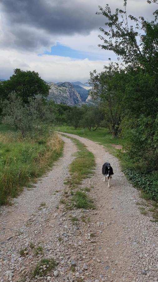 Apartmani Paron Sime Seline Buitenkant foto